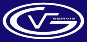 Gvservis