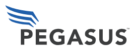 Pegasus Solar Inc.