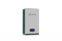 TG EYIL Wall Mount Li-ion Battery 24V 150Ah 3.84Kwh